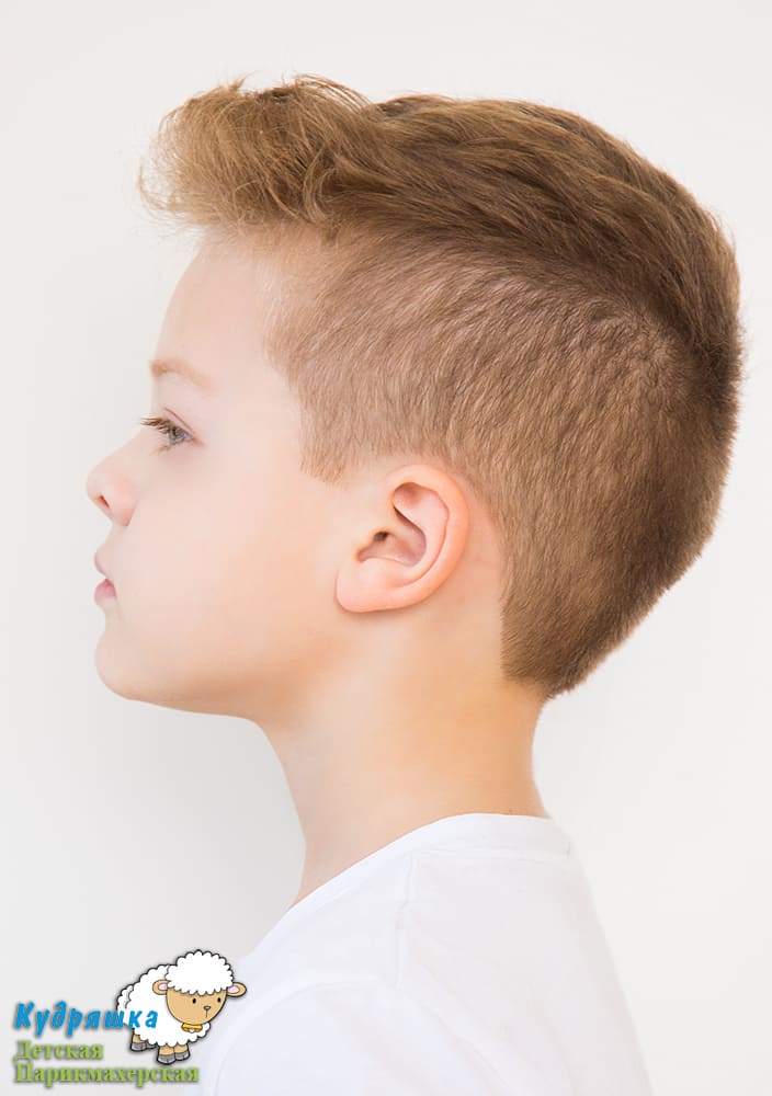 Стрижка для мальчика 5 лет 2020 модные детские прически, фото, короткие, средние волосы, светлые